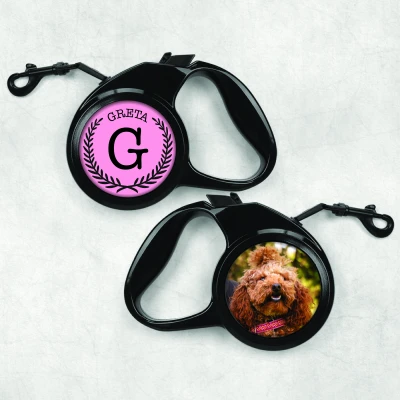 Leine für Hunde - Champion