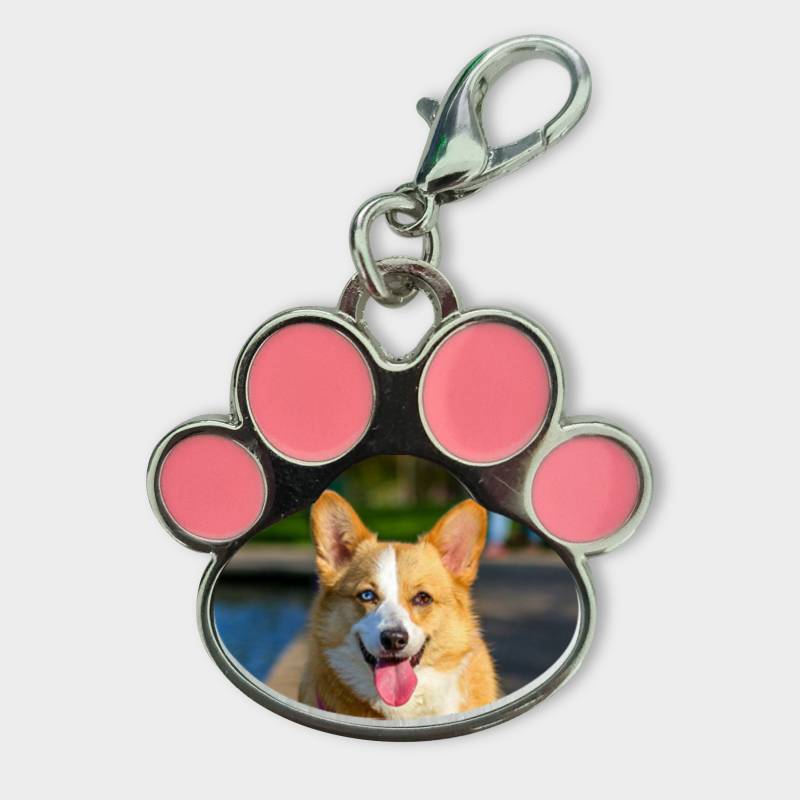 Personalisierter Anhänger für Tiere - Tierchen