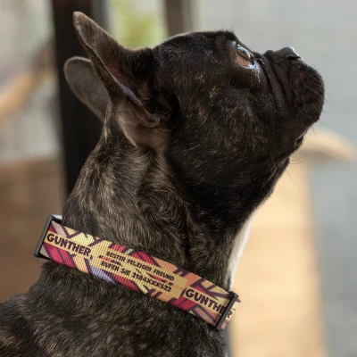 Hundehalsband - Flauschi Freund