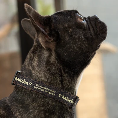 Hundehalsband - Animal Print