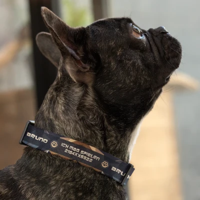 Hundehalsband - Kommando