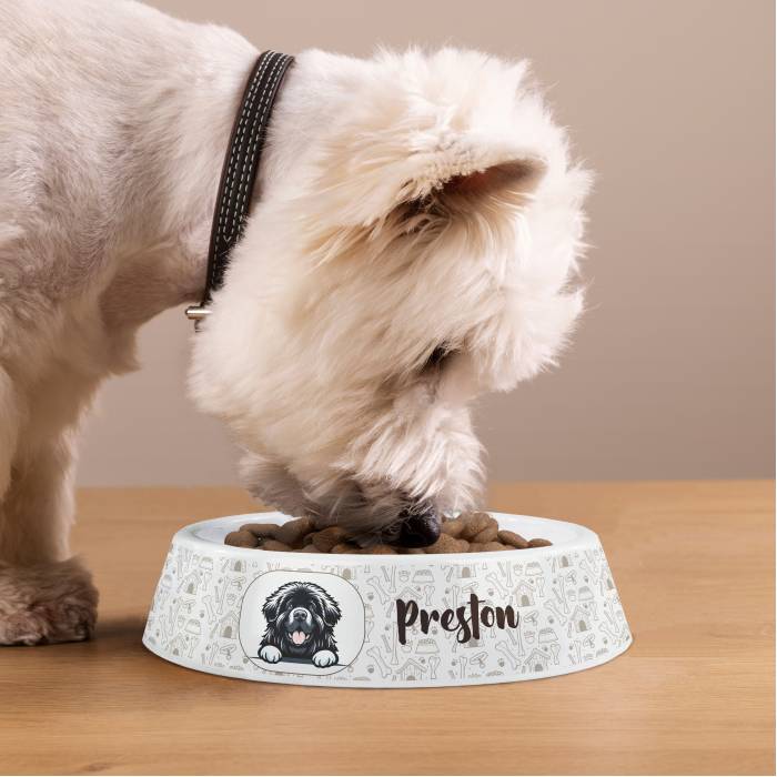 Personalisierter Hundenapf aus Kunststoff - Hunderasse