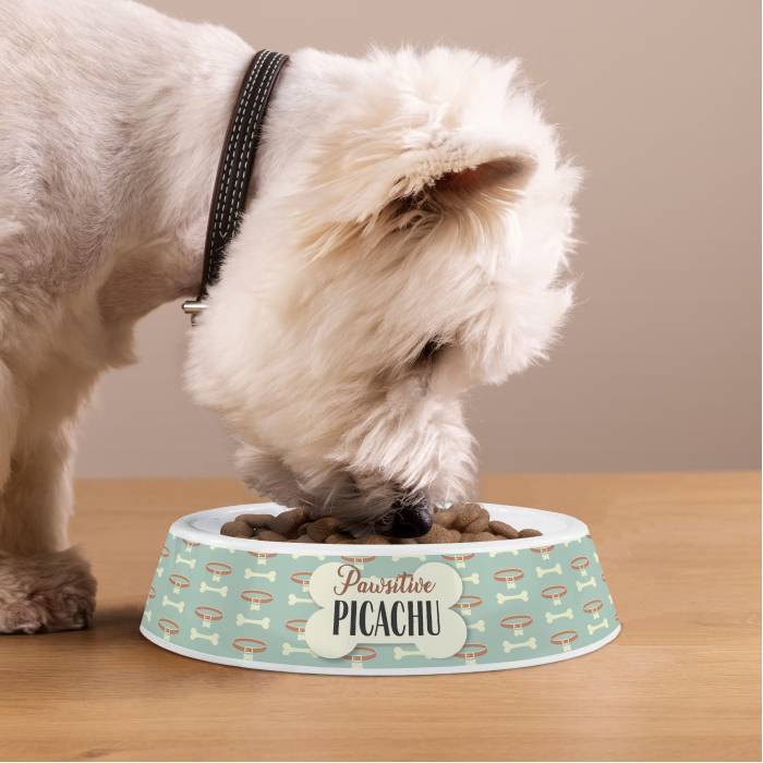 Personalisierter Hundenapf aus Kunststoff - Pfotenpositiv