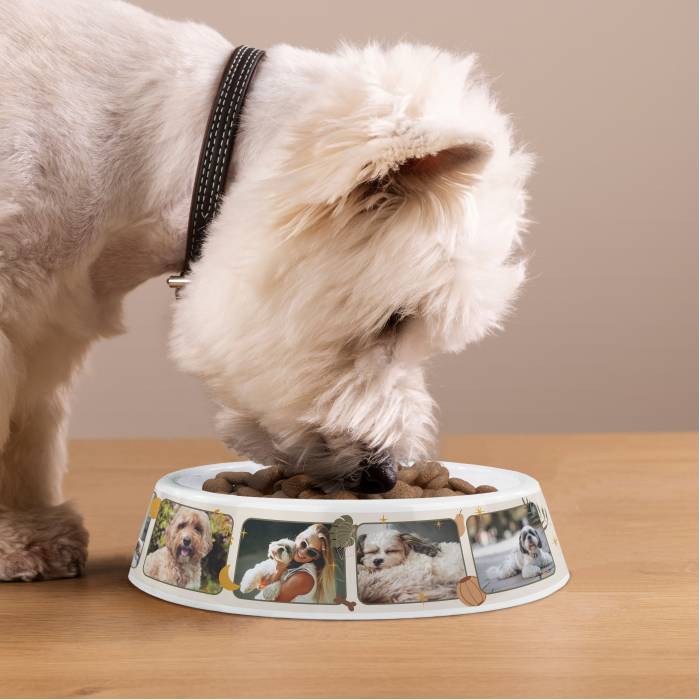 Personalisierter Hundenapf aus Kunststoff – Fotocollage