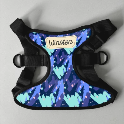 Personalisierter Hundegeschirr - Mit Namen