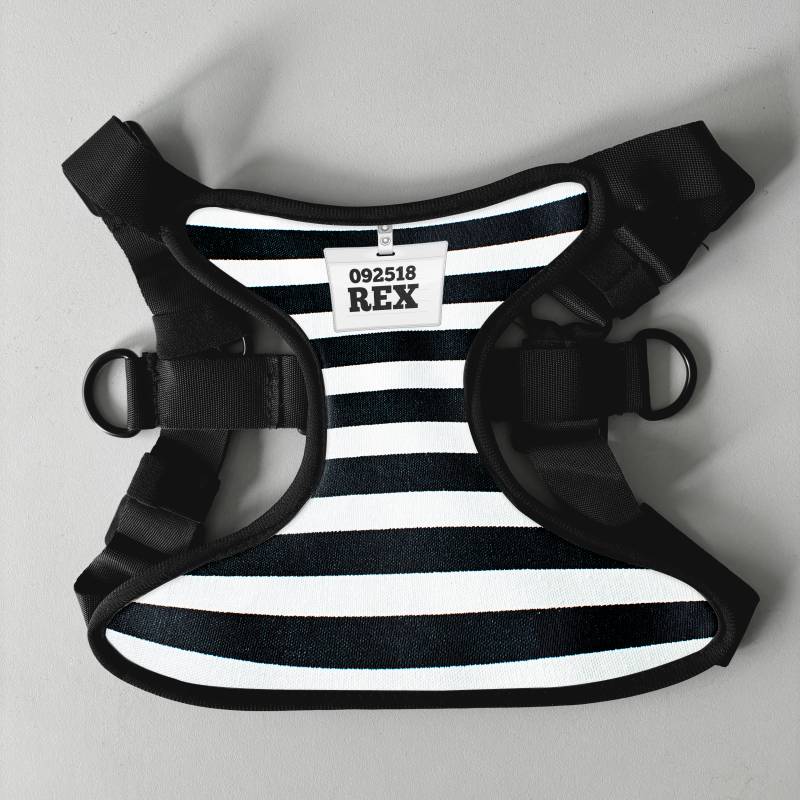 Personalisierter Hundegeschirr - Gefängnis