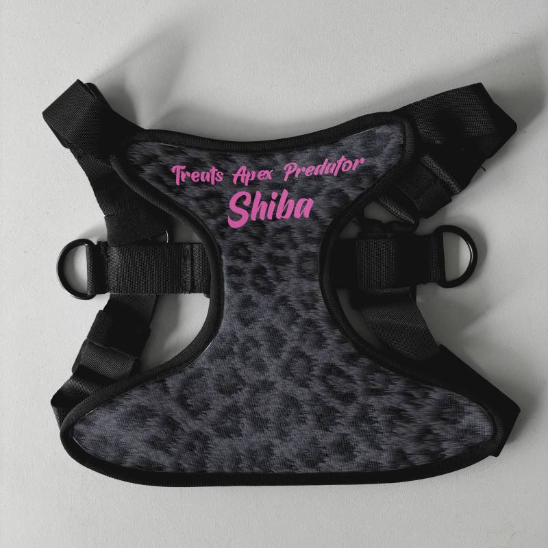 Personalisierter Hundegeschirr - Raubtier