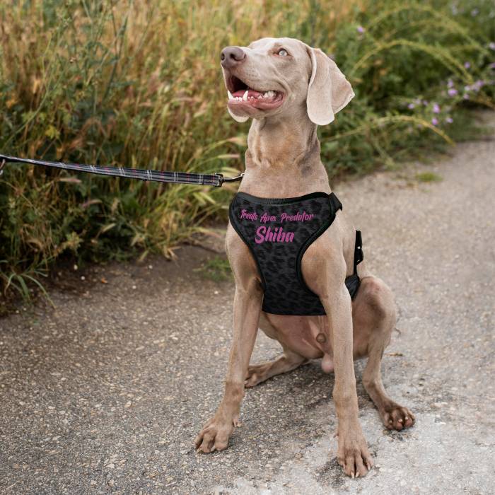 Personalisierter Hundegeschirr - Raubtier