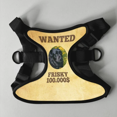 Personalisierter Hundegeschirr - Wanted