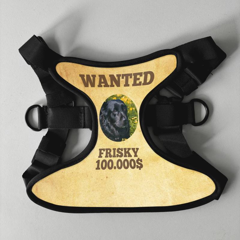 Personalisierter Hundegeschirr - Wanted