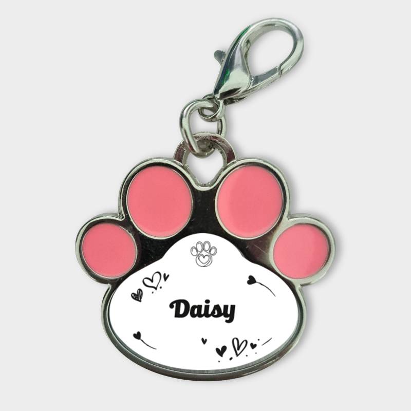 Personalisierter Anhänger für Tiere - Mit dem Namen des Tieres graviert