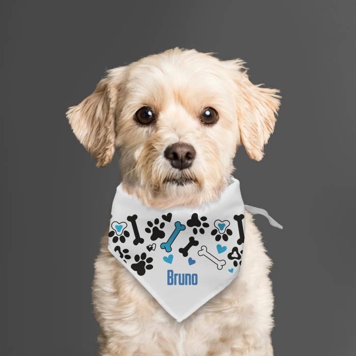 Hundebandana - Knochen