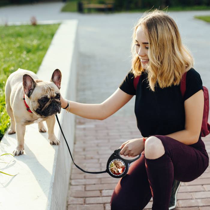 Leine für Hunde - Mit Telefonnummer