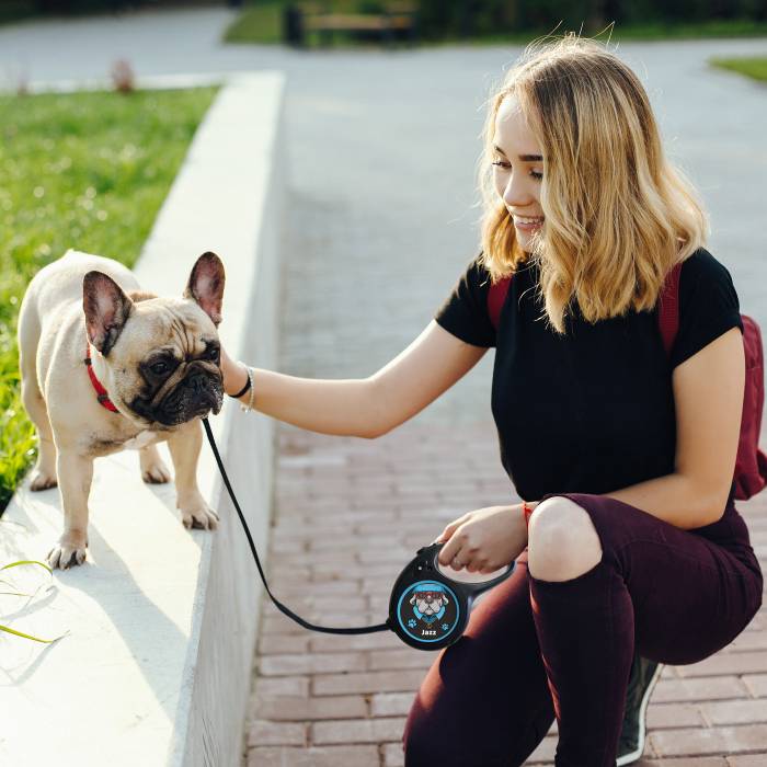 Leine für Hunde - Hund