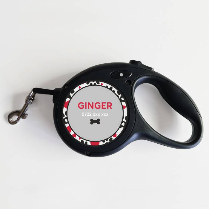 Leine für Hunde – Liebe