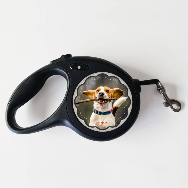 Leine für Hunde – Alles, was du brauchst