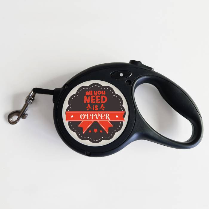 Leine für Hunde – Alles, was du brauchst