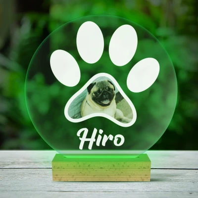 Personalisierte 3D LED-Lampe mit deinem Haustier